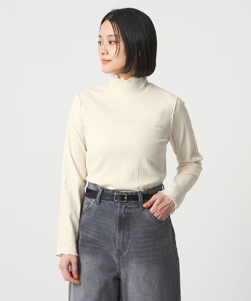 A DAY IN THE LIFE/リブメロー ハイネックカットソー ＜A DAY IN THE LIFE＞/Tシャツ / カットソー