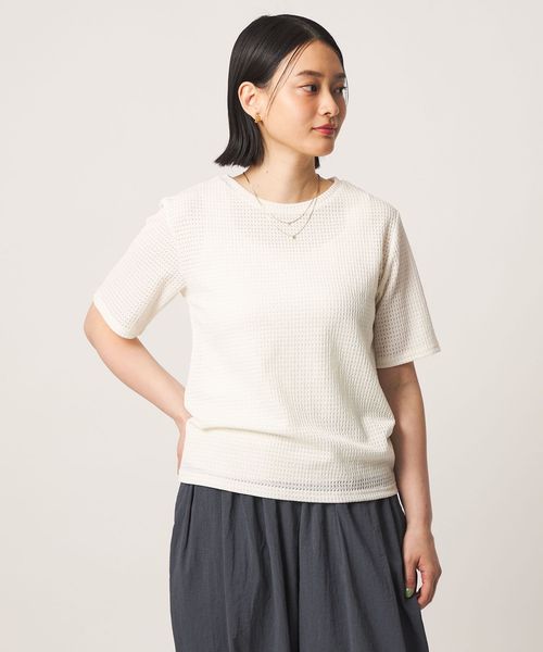 A DAY IN THE LIFE/ラッセルレース ショートスリーブTシャツ ＜A DAY IN THE LIFE＞/Tシャツ / カットソー