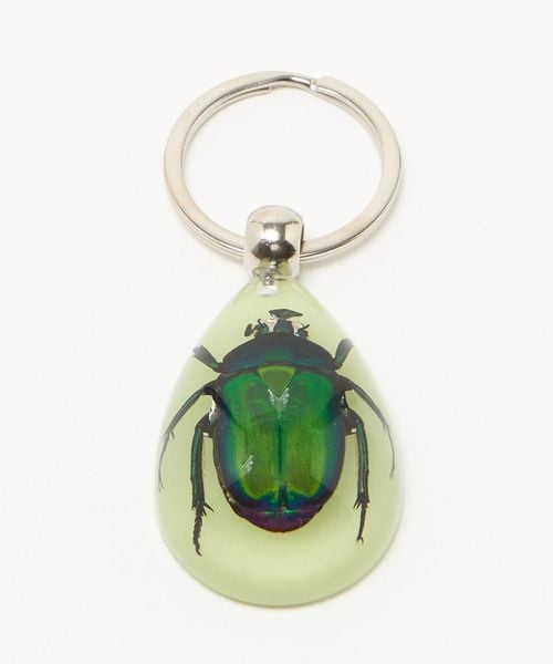 steven alan/＜REAL BUG＞ BEETLE CHAIN/キーホルダー/キーケース / キーホルダー