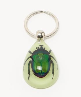 steven alan/＜REAL BUG＞ BEETLE CHAIN/キーホルダー/キーケース / キーホルダー