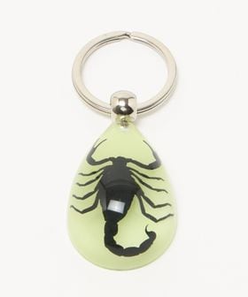 steven alan/＜REAL BUG＞ SCORPION CHAIN/キーホルダー/キーケース / キーホルダー