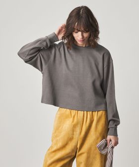 steven alan/＜Steven Alan＞ショート丈 プルオーバー/Tシャツ / カットソー