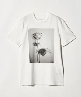 LISA KING/＜LISA KING × Steven Alan＞ROSE TEE SHIRT/Tシャツ/Tシャツ / カットソー