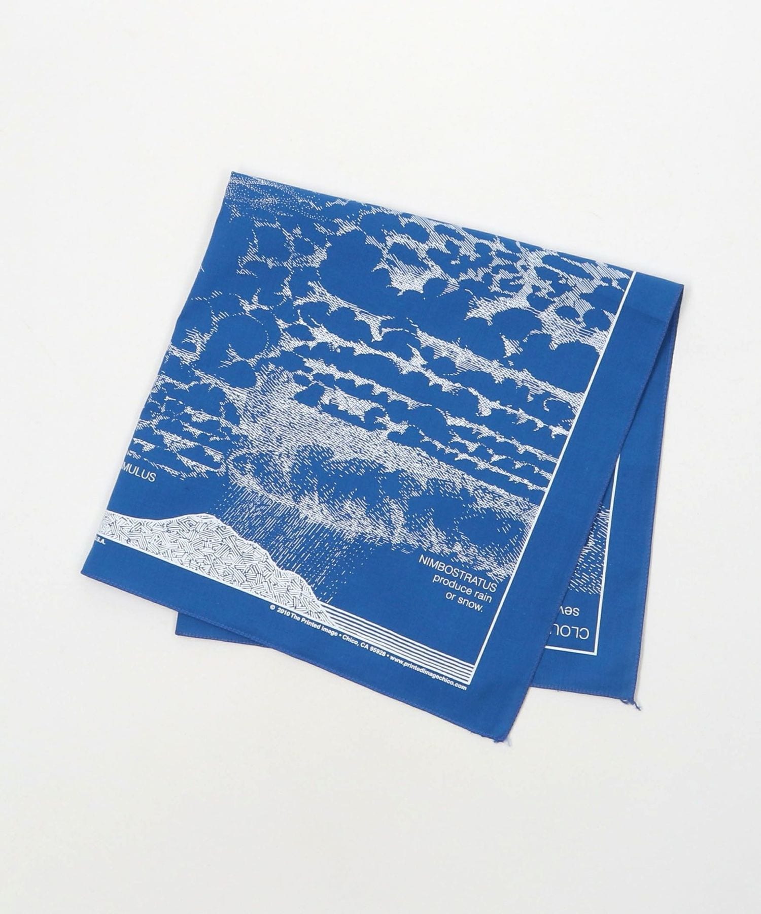 The Printed image＞BANDANA/バンダナ