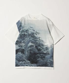 Seya./＜seya.＞PRINTED TEE/Tシャツ/Tシャツ / カットソー