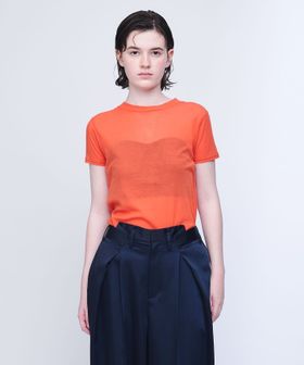 AEWEN MATOPH/＜AEWEN MATOPH＞シアー Tシャツ/Tシャツ / カットソー