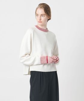 AEWEN MATOPH/＜AEWEN MATOPH＞スムースバイカラーニット/ニット / セーター