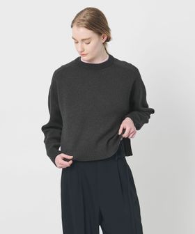 AEWEN MATOPH/＜AEWEN MATOPH＞スムースバイカラーニット/ニット / セーター