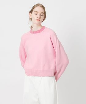 AEWEN MATOPH/＜AEWEN MATOPH＞スムースバイカラーニット/ニット / セーター