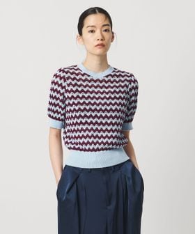 AEWEN MATOPH/＜AEWEN MATOPH＞シェプロンストライプショートスリーブニット ウォッシャブル/ニット / セーター